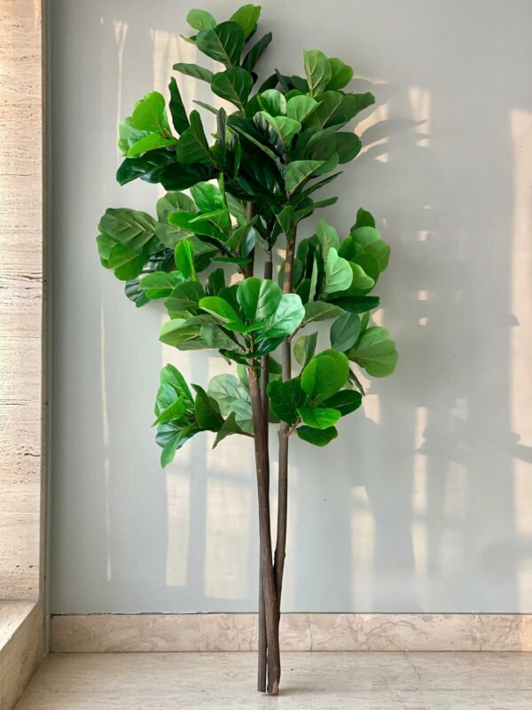 Artificial Fiddle Bliss Plant - 6 Feet - Realistic Indoor D?cor - Image 4