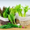 Lifelike Artificial Celery Decoration - 10.2" PVC