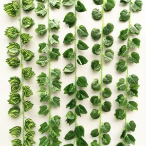 Artificial Leaves Creeper - 7 ft Height, 5 Strands for Versatile Decoration
