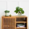 Realistic Artificial Plants with Pot for Home & Office Decor