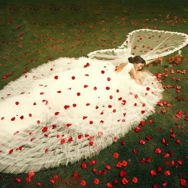500 Pcs Artificial Silk Rose Petals for Weddings & Parties - Image 3