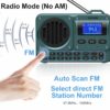 Portable 5W FM Radio with Bluetooth, USB, TF Card, LCD Display