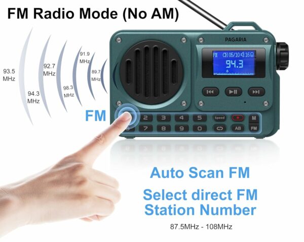 Portable 5W FM Radio with Bluetooth, USB, TF Card, LCD Display - Image 4