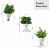3 Pcs Set Mini Artificial Plants - White Man Shape Decor