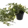 Artificial Plant with Pot - Maintenance Free Indoor Decoration