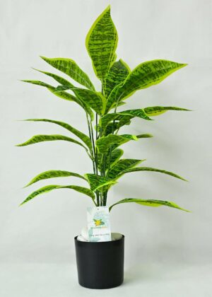 Artificial Snake Plant with Black Pot - 71.1 cm Tall, 26 Leaves