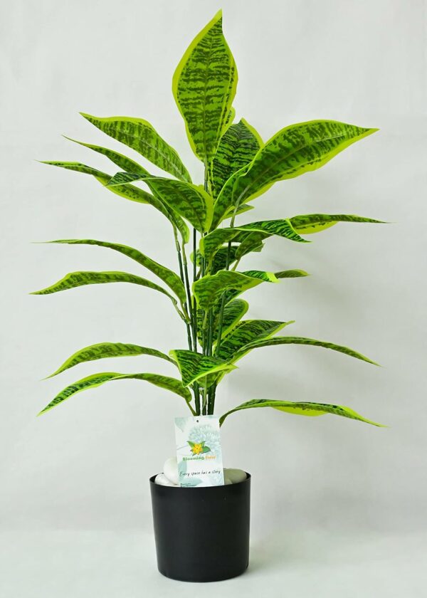 Artificial Snake Plant with Black Pot - 71.1 cm Tall, 26 Leaves