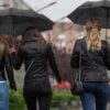 23 Inch Black Automatic Windproof Umbrella - Compact & Durable