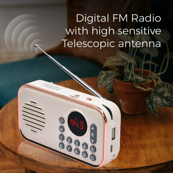 Portable FM Radio with Bluetooth, USB, TF & Type C Charging - Image 2