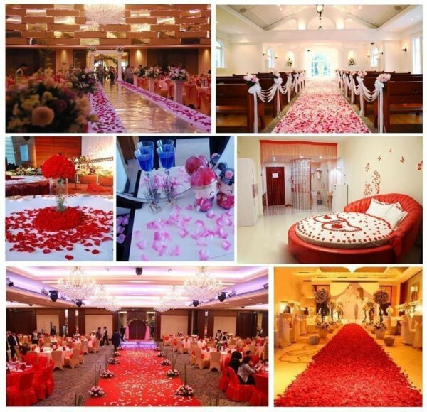 500 Pcs Artificial Silk Rose Petals for Weddings & Parties - Image 4