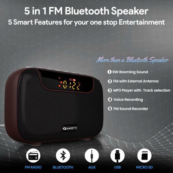 5 in 1 Portable FM Radio with Bluetooth, MP3 Player & Recording - Image 2