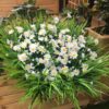 Outdoor Artificial Daisies - UV Resistant Faux Plants Set of 2