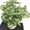 Natural Looking Artificial Money Plant Tree with Pot for Home and Office Decor