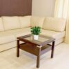 Artificial Rubber Plant with Pot - 28 cm Realistic Greenery for Home & Office Decor