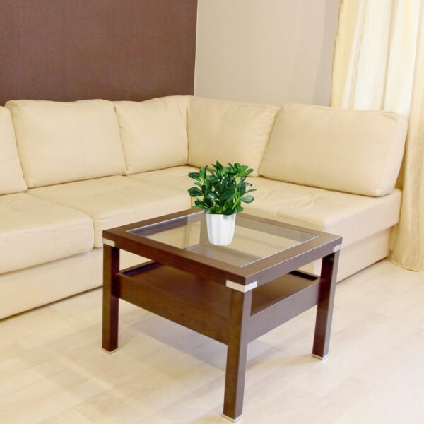 Artificial Rubber Plant with Pot - 28 cm Realistic Greenery for Home & Office Decor - Image 4