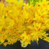 Artificial Yellow Lily Flowers Bunch for Home & Office Decor - 60cm