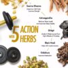 Shilajit Gold Resin 20g - Boost Stamina & Muscle Recovery