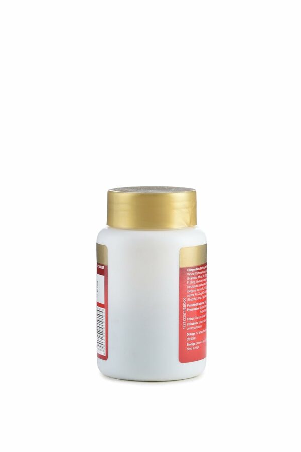Ayurvedic Laxirid Tablets for Constipation Relief - 60 Tabs - Image 3