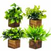 4 Pack Artificial Potted Eucalyptus Plants in Wooden Pots