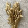 60 Pcs Dried Phalaris Grass for Home & Office Decor