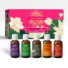 Pack of 5 Essential Oils - Lavender, Lemongrass, Jasmine, Orange, Rose