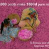 Premium Rose Water - 400ml Pack of 3 | Hydrates & Cleanses Skin