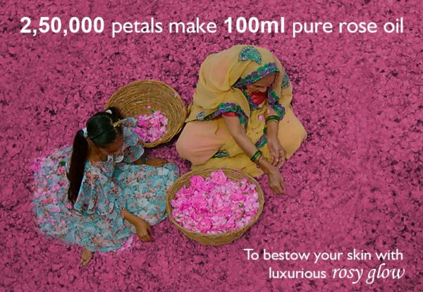 Premium Rose Water - 400ml Pack of 3 | Hydrates & Cleanses Skin - Image 5