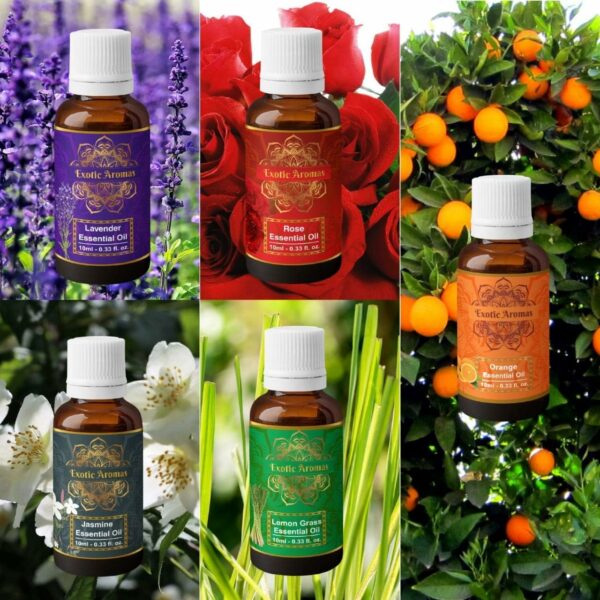 Pack of 5 Essential Oils - Lavender, Lemongrass, Jasmine, Orange, Rose - Image 3