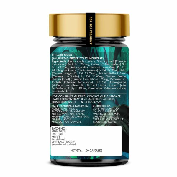 Shilajit Gold 60 Capsules | Boost Stamina & Muscle Growth - Image 3