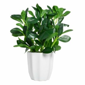 Artificial Rubber Plant with Pot - 28 cm Realistic Greenery for Home & Office Decor