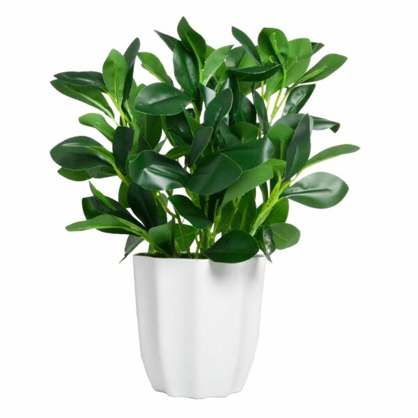Artificial Rubber Plant with Pot - 28 cm Realistic Greenery for Home & Office Decor