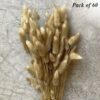 60 Pcs Dried Phalaris Grass for Home & Office Decor