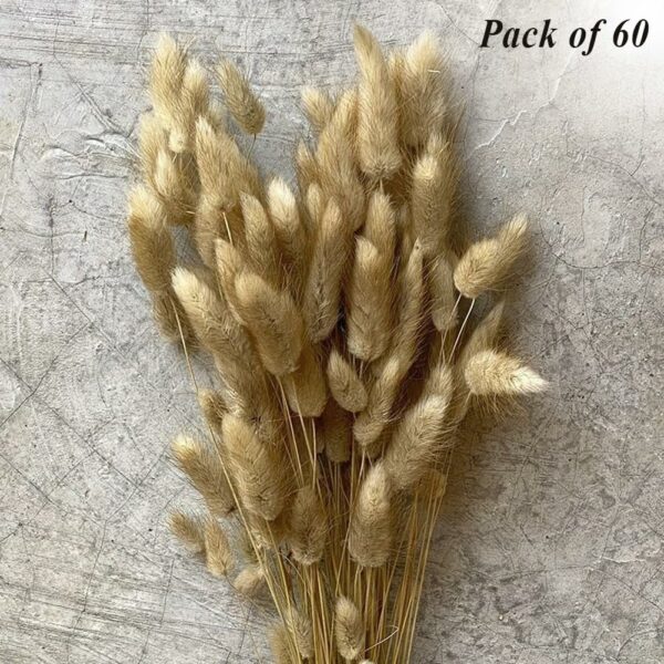 60 Pcs Dried Phalaris Grass for Home & Office Decor - Image 3