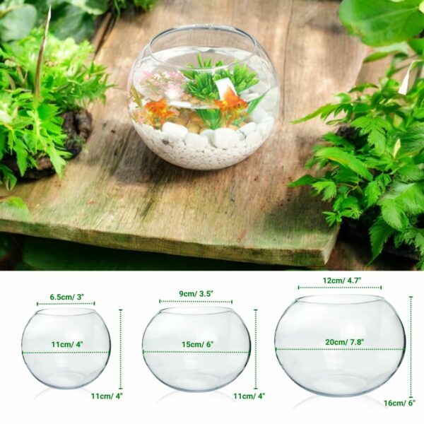 Ecofynd Glass Terrarium Bowl - 4inch Clear Aquarium Bowl - Image 3