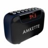 5 in 1 Portable FM Radio with Bluetooth & Recording