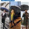 Compact Windproof Travel Umbrella with Carabiner Handle