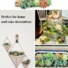 Pack of 6 Artificial Succulent Plants for Home Decor - Multi Size