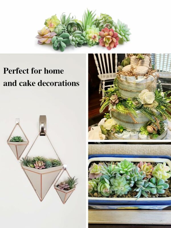 Pack of 6 Artificial Succulent Plants for Home Decor - Multi Size - Image 4