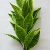 Artificial Snake Plant with Black Pot - 71.1 cm Tall, 26 Leaves
