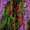 Artificial Fruit String Garland for Home and Events - 60 CM