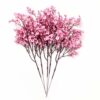 Pack of 5 Artificial Baby Breath Gypsophila Flowers for Home Decor