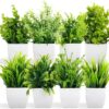 Set of 8 Artificial Eucalyptus Plants for Home Decor
