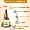 Clove Bud Essential Oil - Pure & Natural for Hair, Skin, Tooth