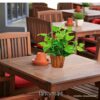 Artificial Money Plant Leaves in Wood Pot - Home & Office Decor