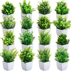 Small Artificial Eucalyptus Plants in White Planters for Home & Office