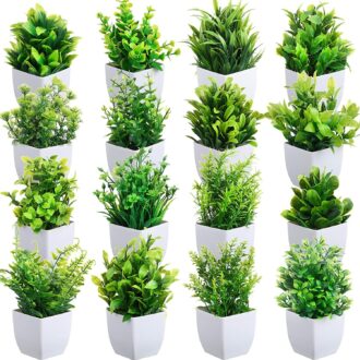 Small Artificial Eucalyptus Plants in White Planters for Home & Office