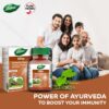 Giloy Tablets - Immunity Booster & Blood Purifier - 60 Tabs + 20 Free