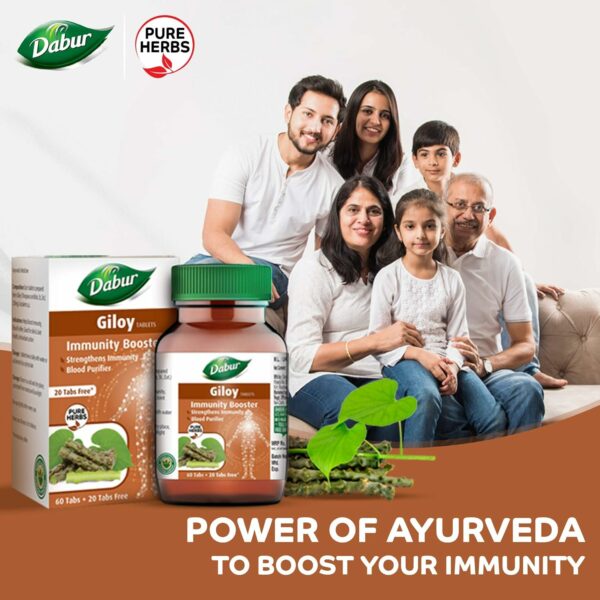 Giloy Tablets - Immunity Booster & Blood Purifier - 60 Tabs + 20 Free - Image 2