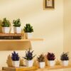 Artificial Plants with Pot - Realistic Multi Variety, Pack of 8
