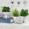 3 Pcs Set Mini Artificial Plants - White Man Shape Decor